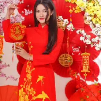 thue ao dai tet dep